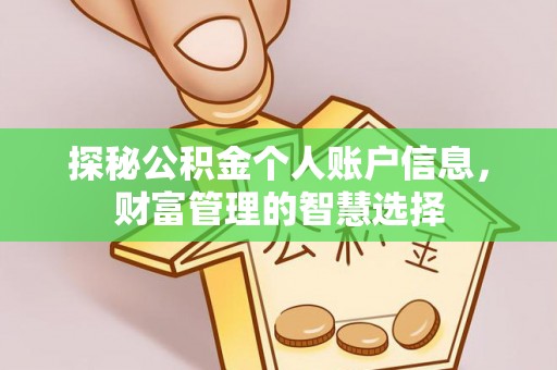 邹城探秘公积金个人账户信息，财富管理的智慧选择